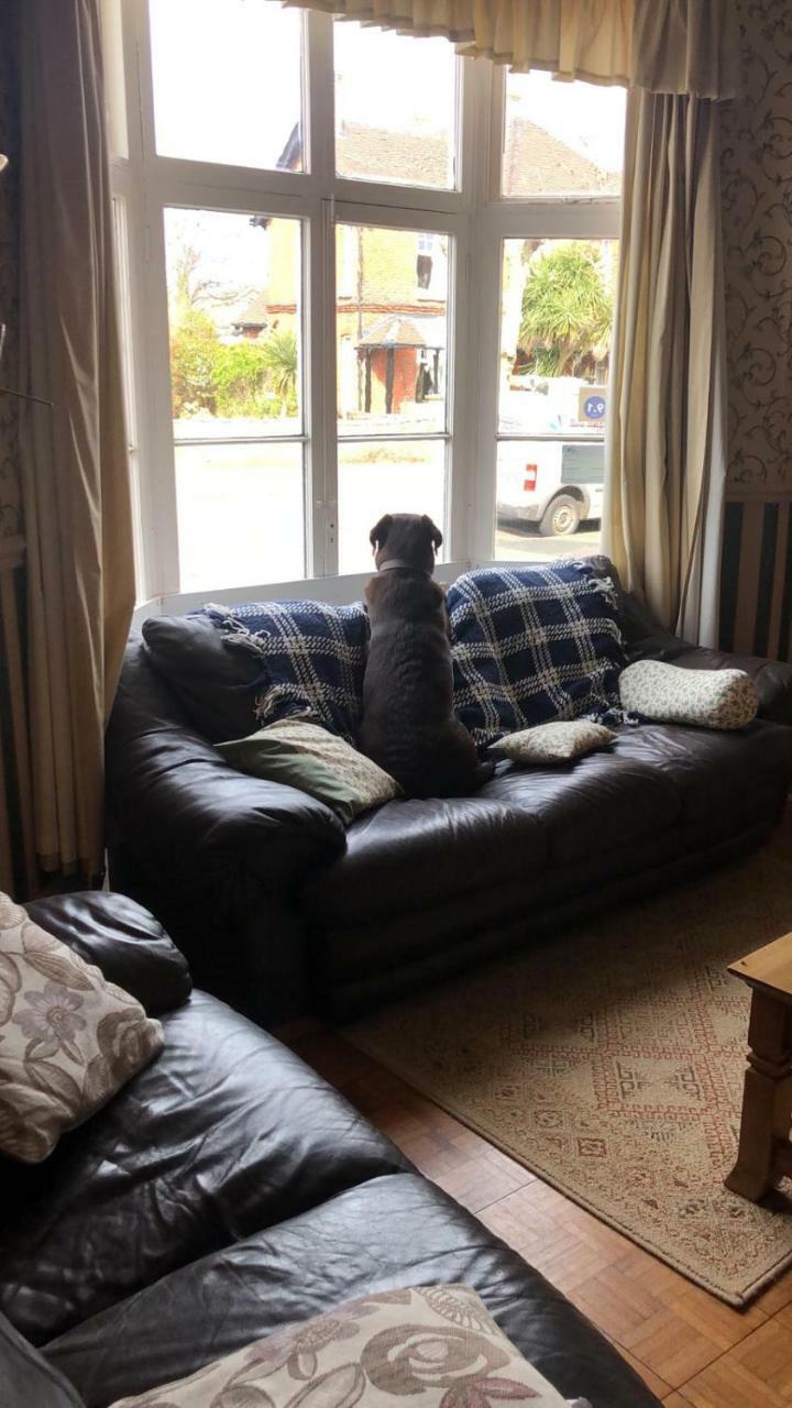 The Fernside Hotel Sandown Bagian luar foto